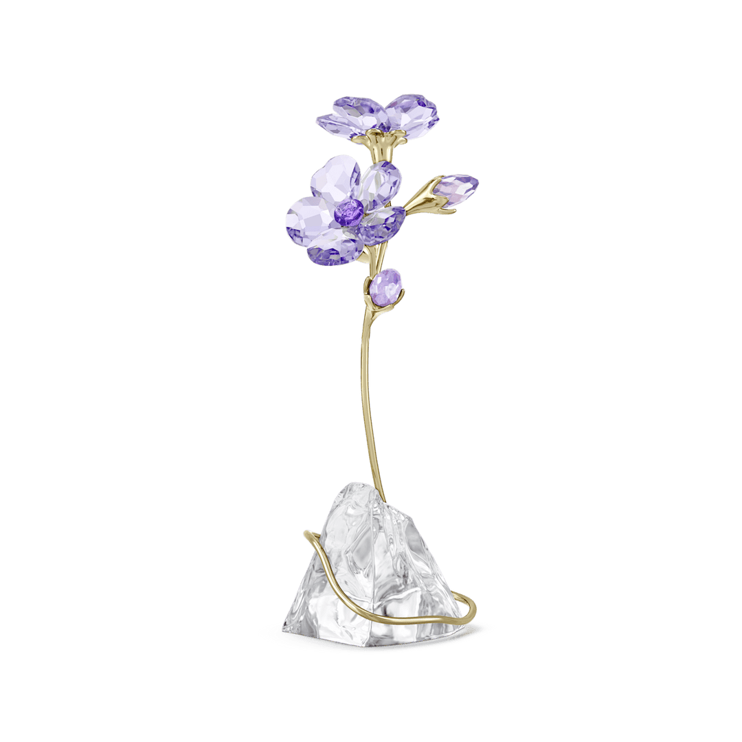 5693143_PNG_1080x.png?v=1745676569